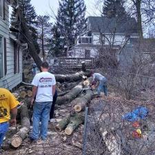 Roof damage repair