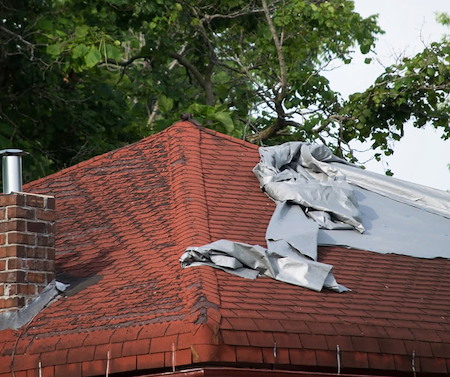 Hail damage asphalt shingles when to call a roofer