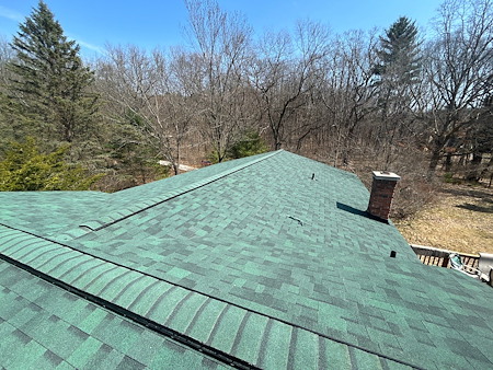 Owens Corning Duration shingle in Chateau Green in Ortonville, MI