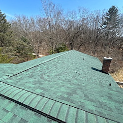 Owens Corning Duration shingle in Chateau Green in Ortonville, MI 1